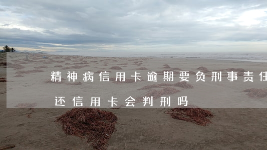 精神病信用卡逾期要负刑事责任吗(精神病不还信用卡会判刑吗)