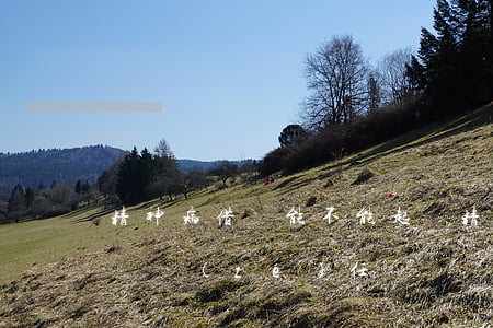 精神病借錢能不能起訴 精神病患者借款有償還責(zé)任嗎?