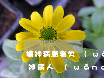 精神病患者欠網(wǎng)貸怎么處理(精神病人網(wǎng)貸不還會(huì)有什么后果)