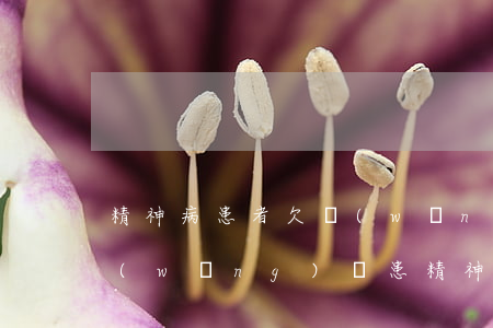 精神病患者欠網(wǎng)貸(有沒有因網(wǎng)貸患精神病的)