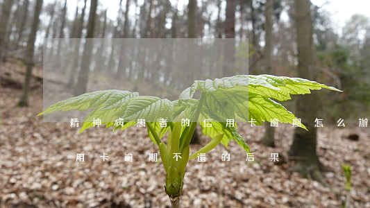 精神病患者的信用卡逾期怎么辦-精神病信用卡逾期不還的后果