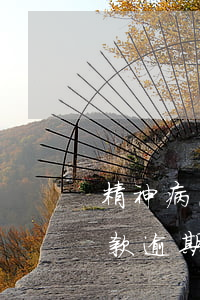 精神病患者網(wǎng)絡(luò)貸款逾期不還的后果