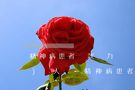 精神病患者貸款無力償還還找監(jiān)護人嗎-精神病患者貸款無力償還還找監(jiān)護人嗎怎么辦