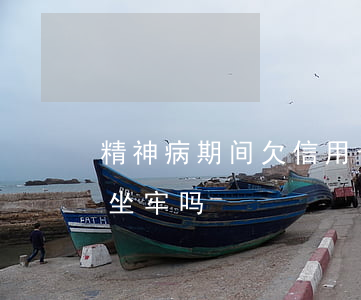 精神病期间欠信用卡-精神病人欠信用卡会坐牢吗
