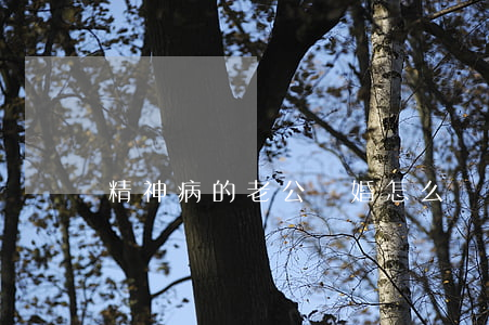 精神病的老公離婚怎么辦