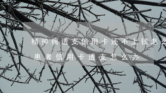 精神病透支信用卡还不上钱怎么办-精神病患者信用卡透支怎么办