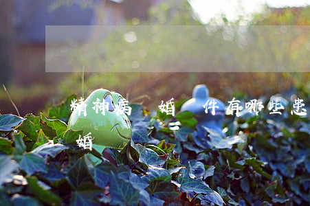 精神病離婚條件有哪些(患精神類疾病能否離婚)