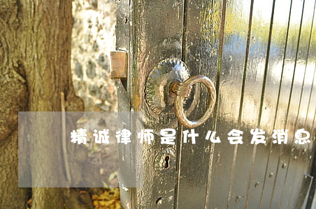 精诚律师是什么会发消息吗(精诚律师事务所)