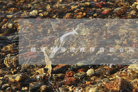 精選信用證抵押借款合同
