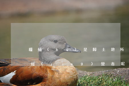 糧補(bǔ)是歸土地所有者還是土地承包經(jīng)營者呢