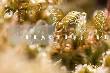 糾紛去哪里報案(合同糾紛去哪里報案)