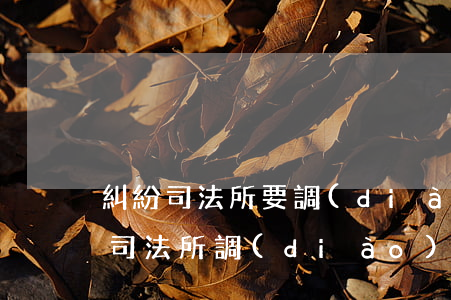 糾紛司法所要調(diào)解可以不去嗎(司法所調(diào)解不成怎么辦)