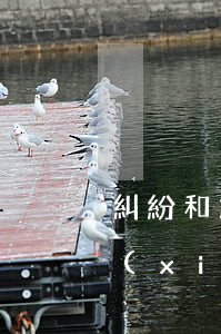 糾紛和解協(xié)議書(打架糾紛和解協(xié)議書)