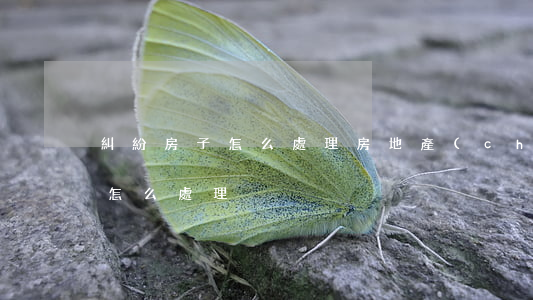 糾紛房子怎么處理(房地產(chǎn)糾紛怎么處理)