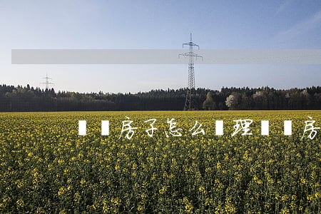 糾紛房子怎么處理(糾紛房子怎么處理)