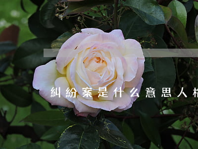 糾紛案是什么意思(人格糾紛案是什么意思)