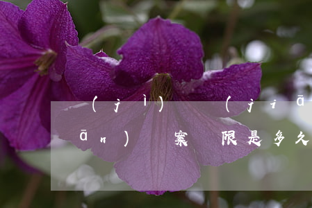 紀(jì)檢監(jiān)察機關(guān)辦案時限是多久