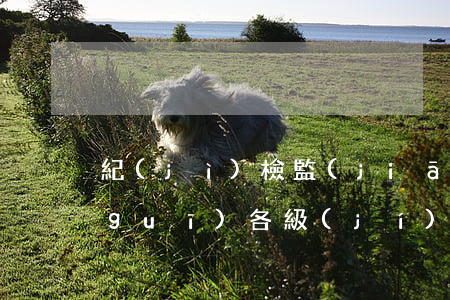 紀(jì)檢監(jiān)察法律法規(guī)各級(jí)監(jiān)察委員(黨的各級(jí)紀(jì)律檢查委員履行什么職責(zé))