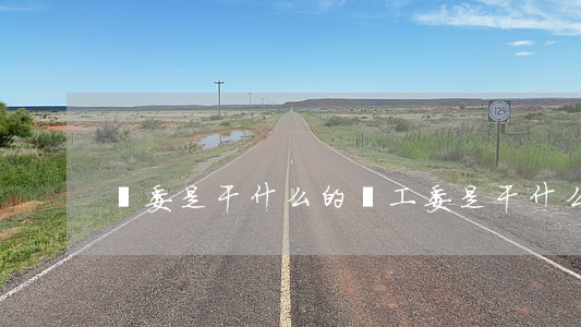 紀委是干什么的(紀工委是干什么的)