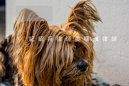 紀紹兵律師(姜曙濱律師)