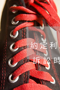 約定利息和逾期利息（雙方約定逾期的利息的訴訟時(shí)效）