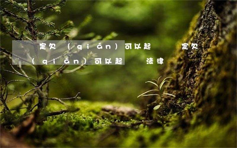 約定欠錢(qián)可以起訴嗎(約定欠錢(qián)可以起訴嗎法律)