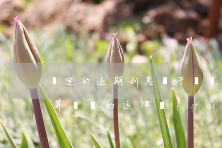 約定的逾期利息屬于違約金(違約逾期利息起算時間的法律規(guī)定)