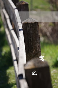 約定還款怎么寫逾期利息(還款逾期利息該怎么寫)