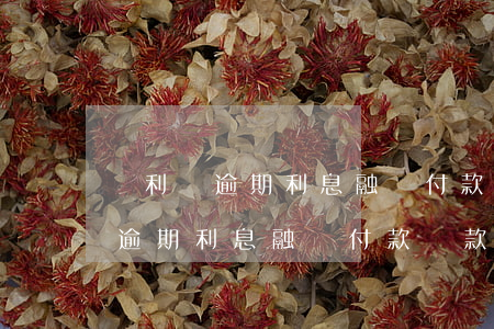 紅利稅逾期利息融資付款還款順序-紅利稅逾期利息融資付款還款順序是什么