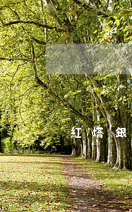 紅塔銀行信用卡逾期一天(信用卡逾期了兩天)