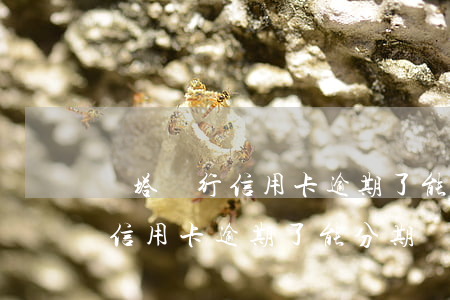 紅塔銀行信用卡逾期了能分期嗎-紅塔銀行信用卡逾期了能分期嗎
