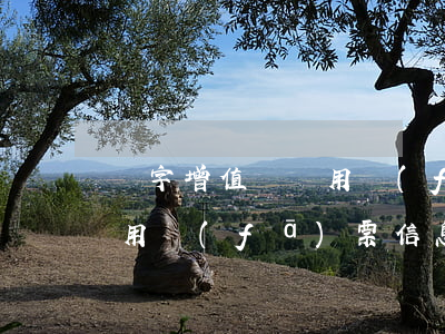 紅字增值稅專用發(fā)票(紅字增值稅專用發(fā)票信息表怎么填)