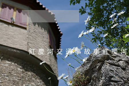 紅慶河交通事故車(紅慶河交通事故車)