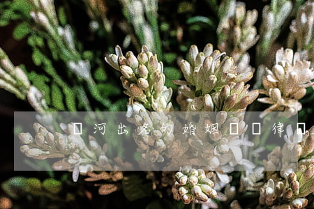 紅河出名的婚姻糾紛律師(紅河律師咨詢電話)