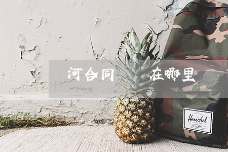 紅河合同糾紛在哪里