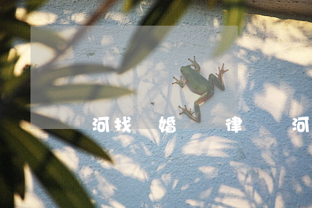 紅河找離婚糾紛律師(紅河律師咨詢電話)