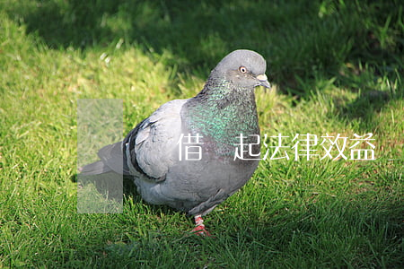 紅筆寫借條起法律效益嗎