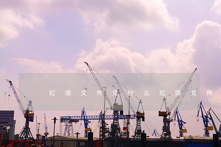 紅頭文件是什么(紅頭文件是什么格式)