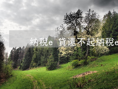 納稅e貸還不起(納稅e貸0174)