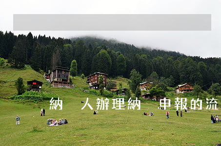 納稅人辦理納稅申報的流程都有哪些