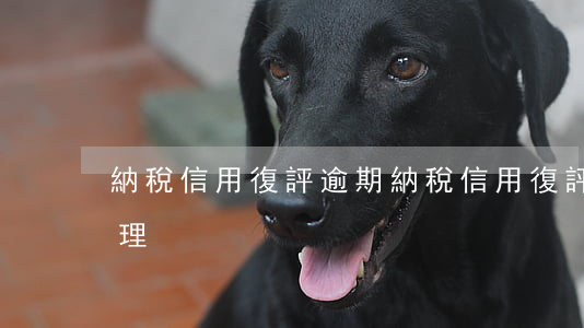 納稅信用復評逾期(納稅信用復評逾期怎么處理)