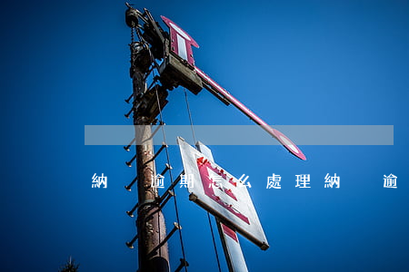 納稅逾期怎么處理(納稅逾期怎么辦)