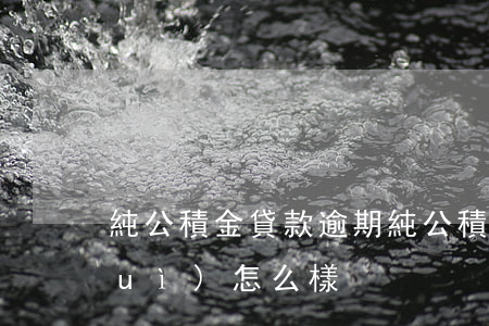 純公積金貸款逾期(純公積金貸款逾期會(huì)怎么樣)