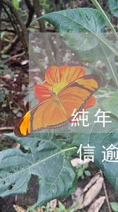 純年費(fèi)逾期上征信(2017年征信逾期新規(guī)定)