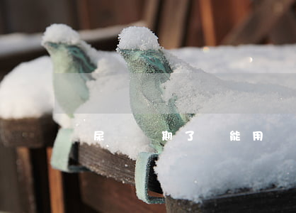 紙尿褲過期了還能用嗎