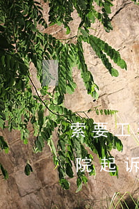 索要工资可以直接法院起诉吗(讨要工资向法院起诉需要费用吗)