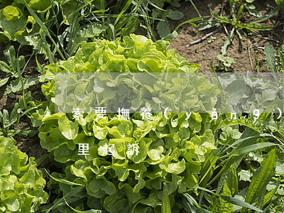 索要撫養(yǎng)權(quán)在哪里起訴