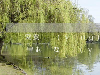 索要撫養(yǎng)權(quán)在哪里起訴(要撫養(yǎng)權(quán)怎么起訴)