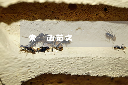 索賠函范文