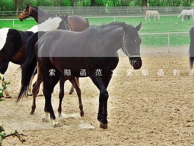 索賠函范文(索賠函的正文的內(nèi)容)